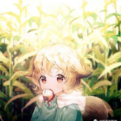 伊朗外长抵达巴基斯坦